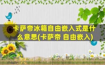 卡萨帝冰箱自由嵌入式是什么意思(卡萨帝 自由嵌入)